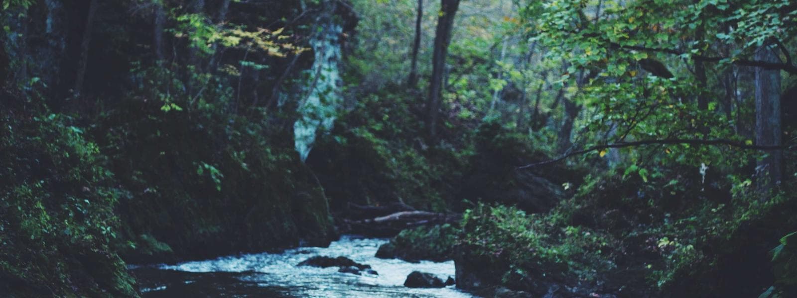 June Collections